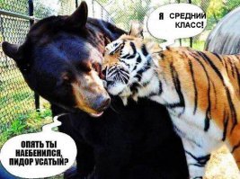 Путин рассказал, кто в России средний класс. Теперь россияне шикуют