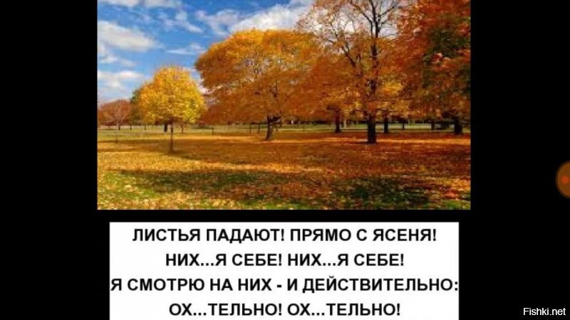 Почему листья осины колеблются в безветренную погоду?
