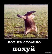 Внезапно пропавшая фонограмма снова опозорила Бузову