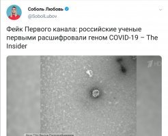 Жоболь уже постит фейки.