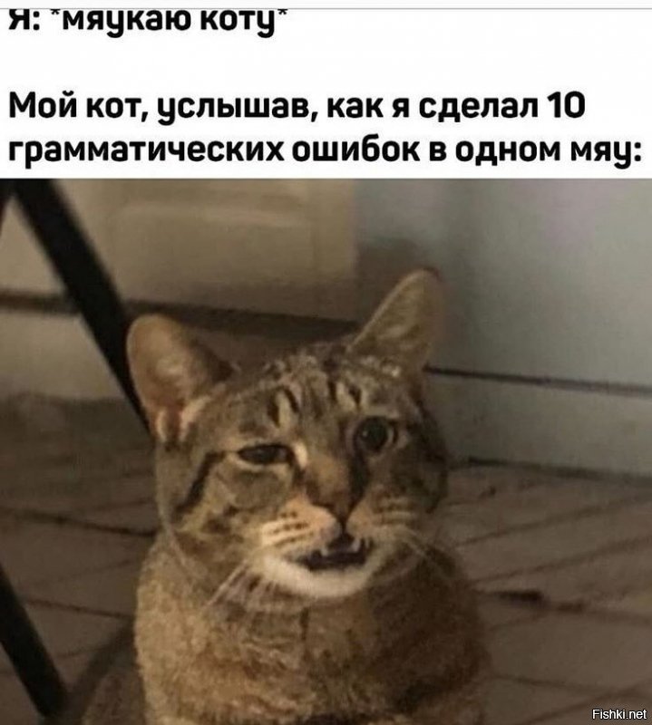 Солянка от 20.03.2020