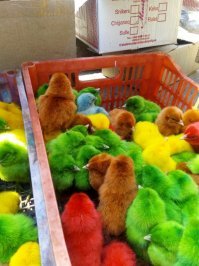 Подборка интересных и веселых картинок