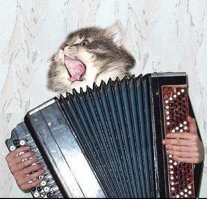 Игра с котом в крестики-нолики