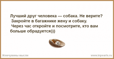 Собака радуется возвращению друга из армии