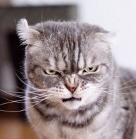 8 фактов о карантине и эпидемиях