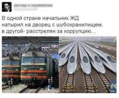 Смешные картинки из соц сетей