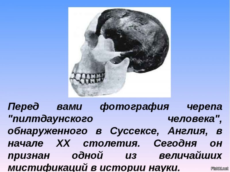 Данная штуковина - это элементарная подделка и новодел в целях привлечения внимания .
В сети есть куча информации с убедительной аргументацией , кому действительно интересно тот найдет .
Вот типичный пример подобной мистификации :