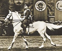 Сравнивайте, где там хвост параллелен и шашка перпендикулярна и ноги тонкие. Лучше бы еще один памятник поставили, чем старый убирать.