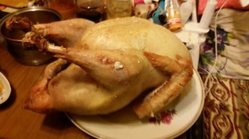 ко мне в огород ходил соседский гусь.
больше не ходит.