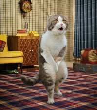 Не говори брат . Из чисто семейной тайны они сделали цирк !!