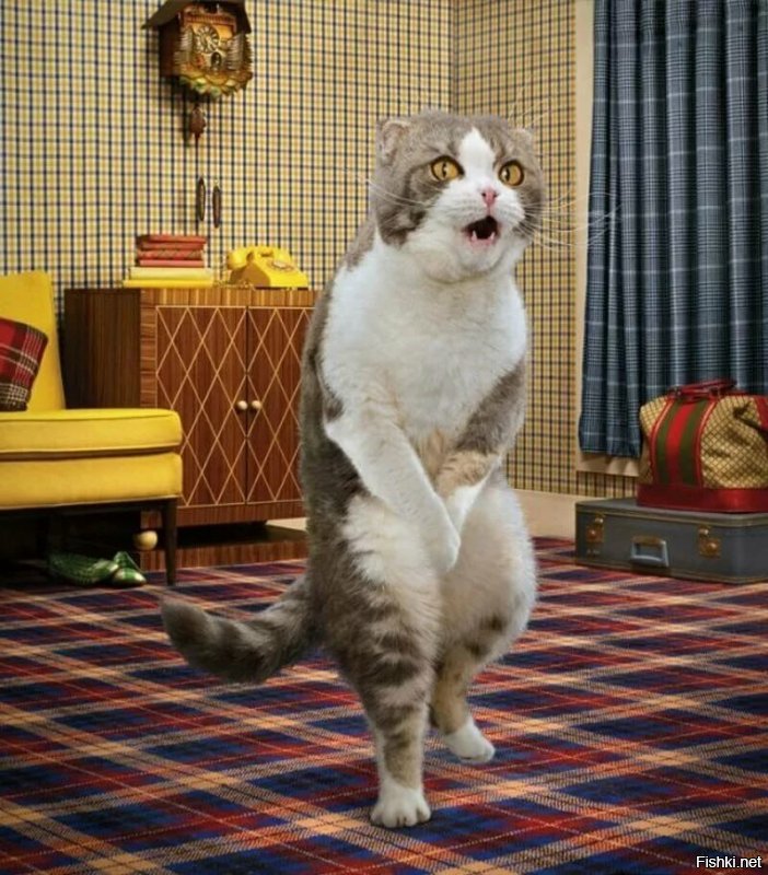 Не говори брат . Из чисто семейной тайны они сделали цирк !!