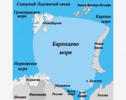 Какое побережье Баренцево моря? Учи географию.