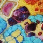 А что здесь делает жирная мышь с планшетом?