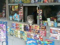 Картинки с надписями