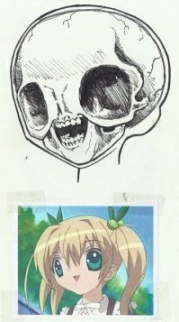 Череп острова Силенд: учёные теряются в догадках