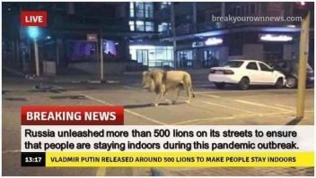 Срочные новости.
Россия выпустила больше 500 львов на свои улицы чтоб быть уверенными, что люди остаются дома в период вспышки пандемии.
Владимир Путин выпустил около 500 львов, чтоб заставить людей находиться дома.