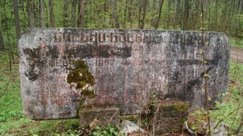 Четыре года назад ездил на то место где находилась в/ч 89503. Служил там в войсках РВСН СССР замком топогеодезистов. Город Малорита, Белоруссия.
На фотках то, что осталось от части. Осколки не то слово!