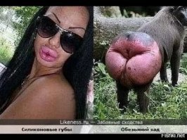 Прикольные и смешные картинки