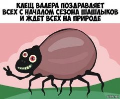 Прикольные и смешные картинки