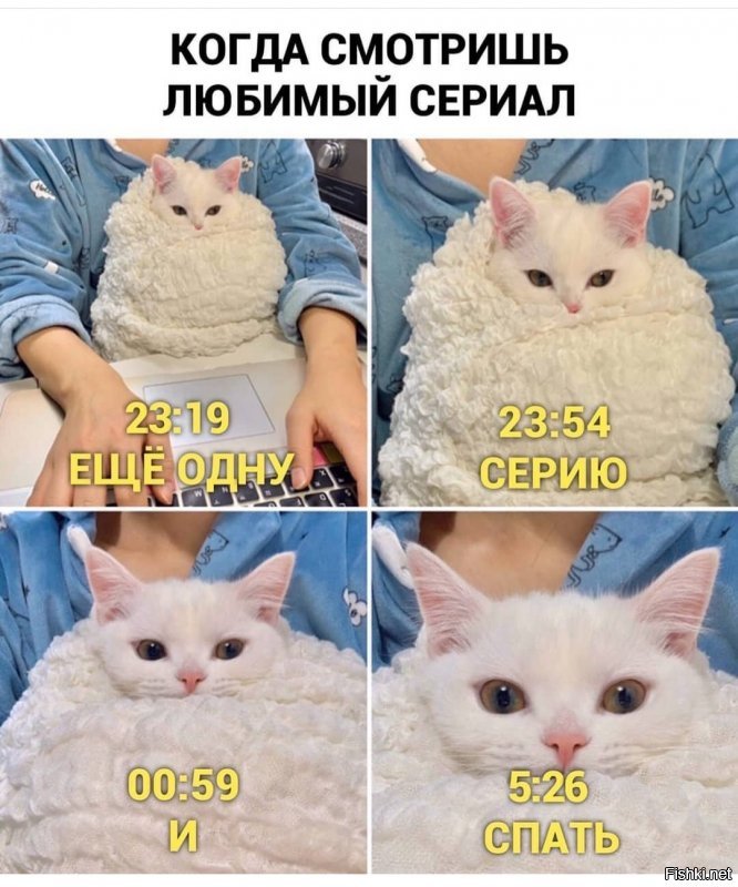 Солянка от 23.03.2020