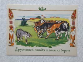 Львицы спасли свою соплеменницу от стаи гиен