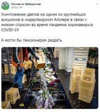 Экономическая поддержка своих граждан государствами