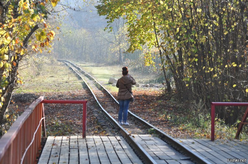 Узкоколейка от станции МЕЗМАЙ по Гуамскому ущелью в Краснодарском крае. Оч атмосферное место.