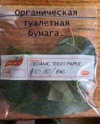 Когда в магазинах нет туалетной бумаги :    :)