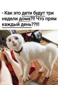 40 отборных шуток про коронавирус для того, чтобы не впасть в отчаяние