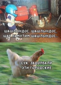 Скоро лето, скоро дача!