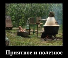 Скоро лето, скоро дача!