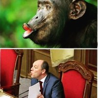 За время работы в аэропорту UKBB видел:
1. Два раза грузовой В-747 с коровами из Канады
2. Много раз живых цыплят из Европы
3. Грузовой DC-10 (первый раз в живую видел) из Китая с масками во время прошлого "птичьего" гриппа. Изюминкой на торт - тогдашняя премьерка Тимошенко Ю.В. сама приперлась в ночь его разгружать. Пиар наше все
4. Пятьдесят обезьян из Африки. Ржали. что это в Раду вместо депутатов )))
Как-то все - остальные приколы уже с контрабандой связаны

ПыСы: Ну и "Мрия" с "Бураном" у нас тоже отметилась перед отлетом в Ле-Бурже