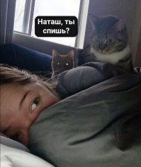 Не хватает ставшего уже мемом "Вставай быстрее, мы там все уронили."