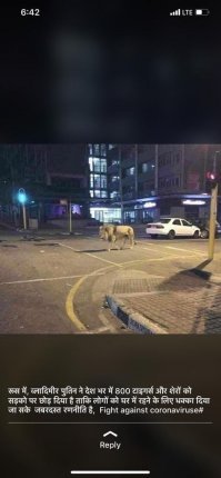 фэйк! даже без знания языка видно, что 800