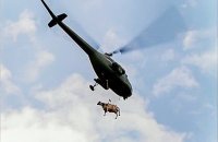 Самые безумные грузы, перевезенные по воздуху