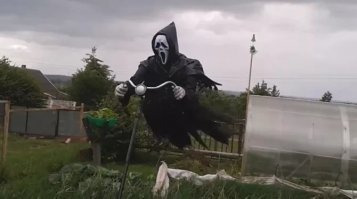 Скоро лето, скоро дача!