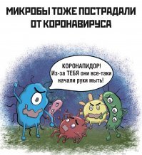 Не гречкой единой: ТОП шуток и приколов про коронавирус