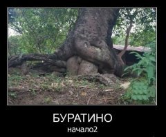 Прикольные и смешные картинки