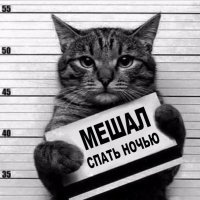 "...Ведь если он мошенник, то его фото сразу же появится в поиске с пометкой "Остерегайтесь этого человека! Мошенник"
РЖУ НИМАГУ!