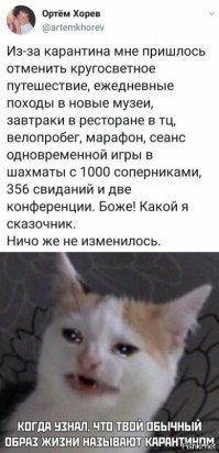 Карантинное