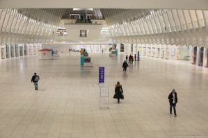 Нью-Йорк 23 марта от samsebeskazal