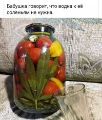 Смешные картинки из соц сетей