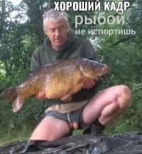 Ловись рыбка!