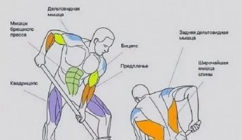 Лопата и вилы , это не только ноги , но и много других частей тела