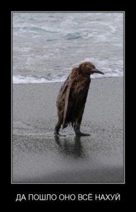 Немного позже