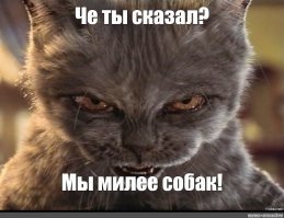 Прикольные и смешные картинки