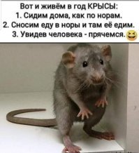Комментарии в разных группах к постам