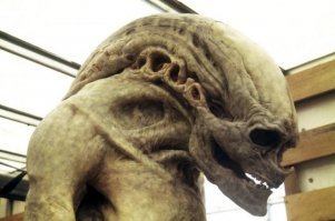 Ни хрена...вот кого