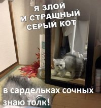 Картинки с надписью