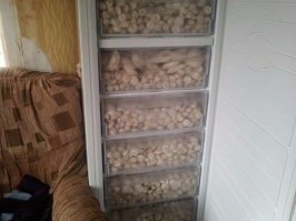 Думаю хватит